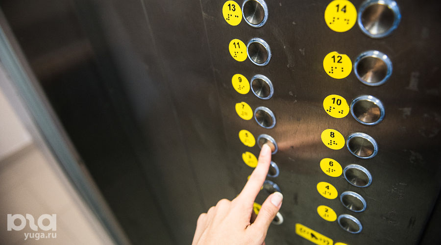  © Фото Елены Синеок, Юга.ру