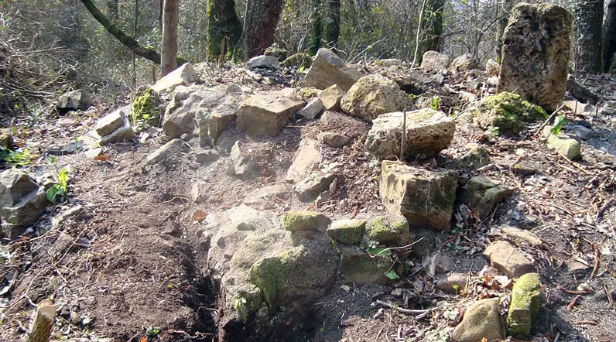  &copy;&nbsp;Фото пресс-службы Сочинского нацпарка