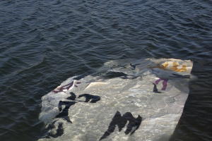  © Фото предоставлены Анной Таганцевой-Кобзевой