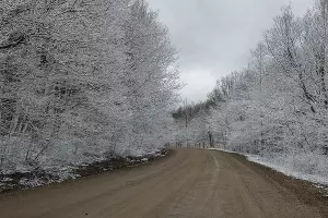 Дорога к пещерам &copy;&nbsp;Фото Елены Синеок, Юга.ру