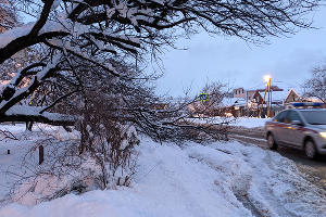Зима в Краснодаре &copy;&nbsp;Фото Александры Прохоренковой-Аксеновой, Юга.ру