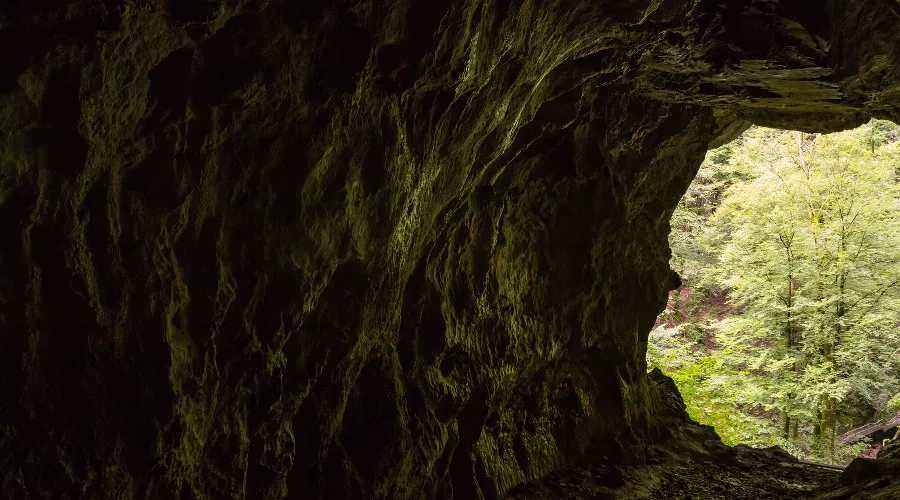  &copy;&nbsp;Фото wirestock, Freepik.com