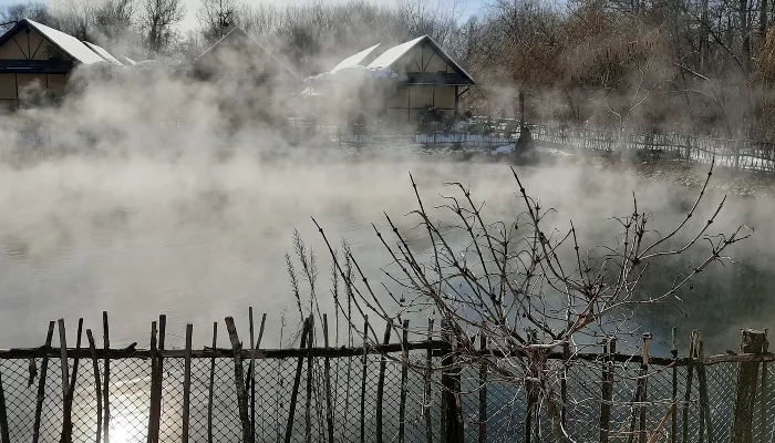  &copy;&nbsp;Фото Анны Петровой, Юга.ру