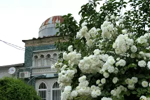  &copy;&nbsp;Фото Марины Солошко, Юга.ру