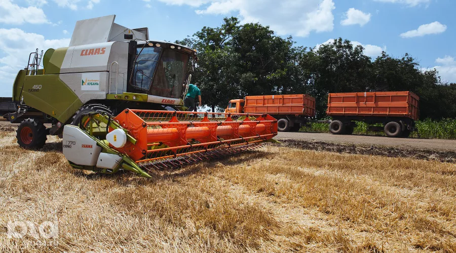  &copy;&nbsp;Фото Амины Ибрагимовой, Юга.ру