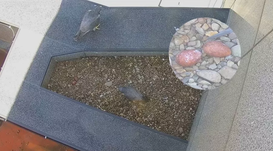  &copy;&nbsp;Фото пресс-службы банка Уралсиб