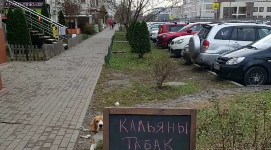  &copy;&nbsp;Фото из паблика Typodar в инстаграме, instagram.com/typodar/