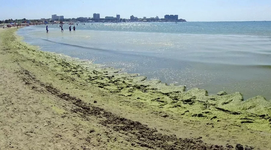  &copy;&nbsp;Фото сайта &laquo;Анапа Сити&raquo;, https://anapacity.com/