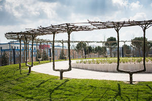 Парк «Краснодар»  &copy;&nbsp;Фото Елены Синеок, Юга.ру