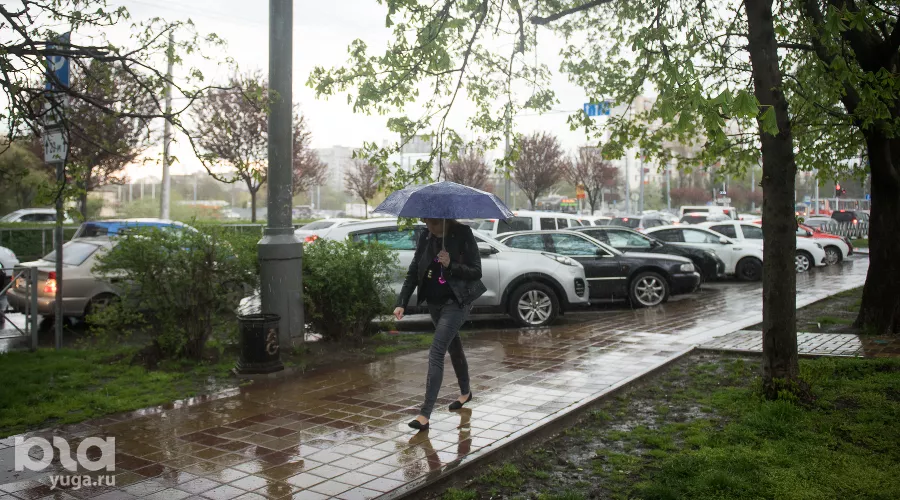  &copy;&nbsp;Фото Елены Синеок, Юга.ру