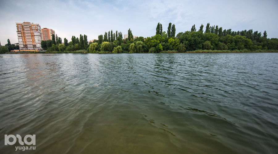  © Фото Елены Синеок, Юга.ру