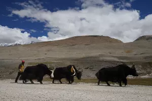  &copy;&nbsp;Фото Русского Географического общества