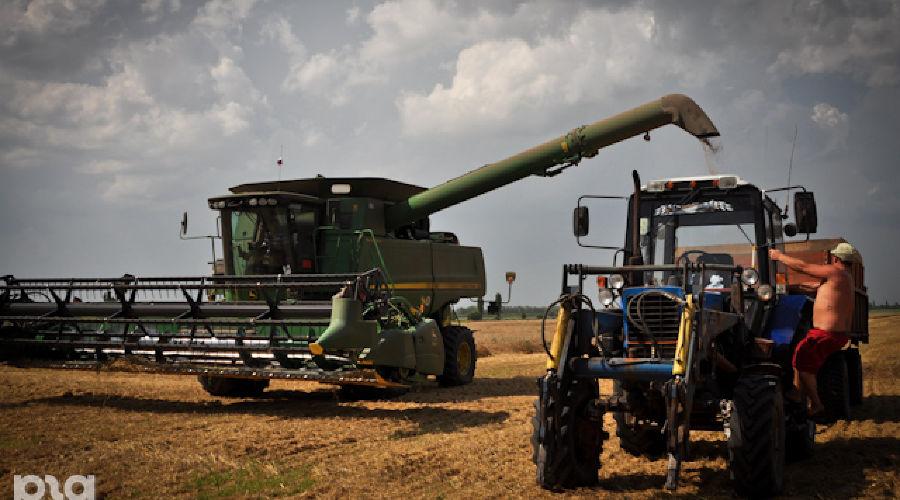 Уборка урожая © Елена Синеок. ЮГА.ру