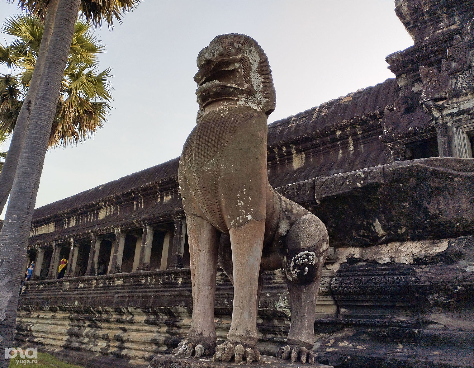 Hmm gracel series cambodia jud