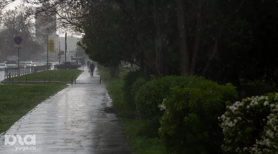  &copy;&nbsp;Фото Елены Синеок, Юга.ру