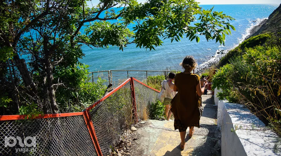  &copy;&nbsp;Фото Елены Синеок, Юга.ру