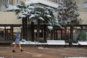 Снег в Сочи © Фото Нины Зотиной, Юга.ру