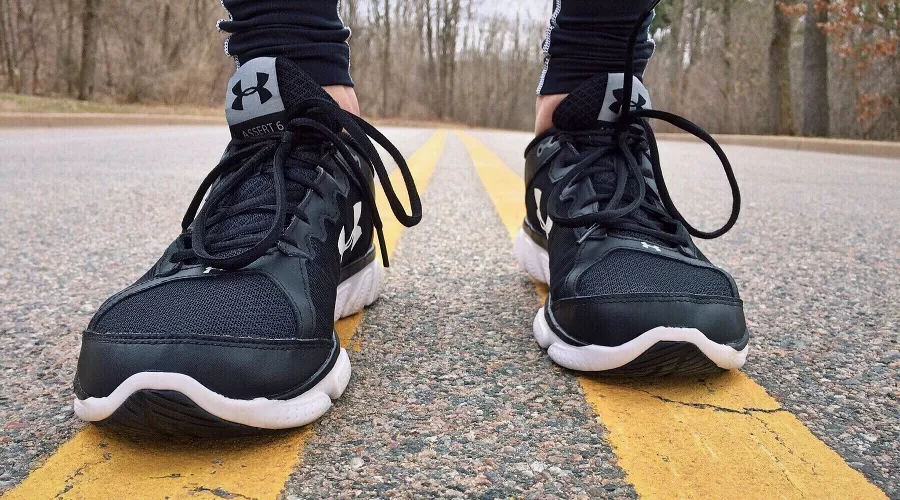  &copy;&nbsp;Фото с сайта pixabay.com