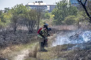  &copy;&nbsp;Фото Sega Black-Sea