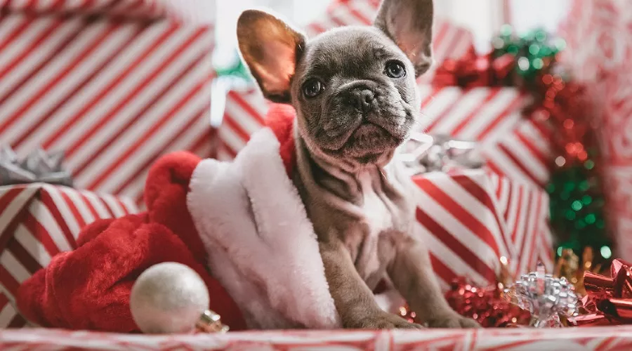  &copy;&nbsp;Фото Jakob Owens, unsplash.com