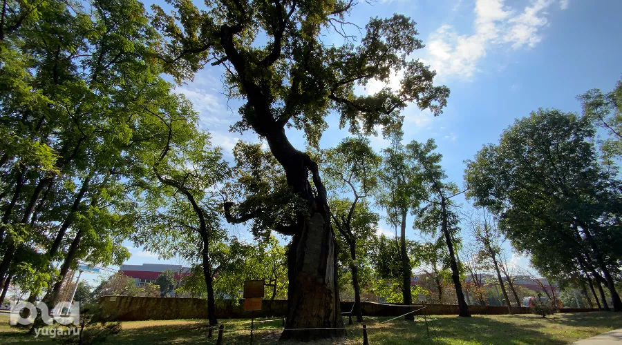  &copy;&nbsp;Фото Дмитрия Пославского, Юга.ру
