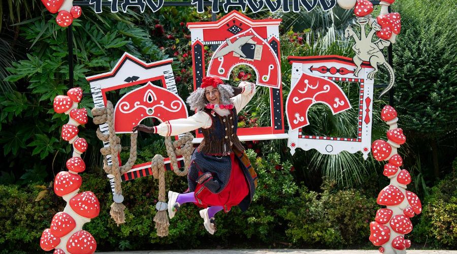  &copy;&nbsp;Скриншот фото из телеграм-канала &laquo;Тележка Бабы Яги. Сочи Парк&raquo;