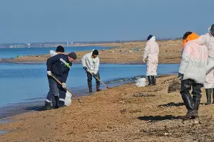 Спасатели на пляжах Анапы, 12 апреля &copy;&nbsp;Скриншот фото из телеграм-канала Юрия Озаровского