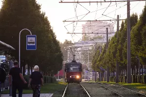  &copy;&nbsp;Фото Елены Синеок, Юга.ру