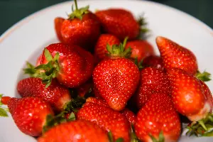  &copy;&nbsp;Фото Елены Синеок, Юга.ру