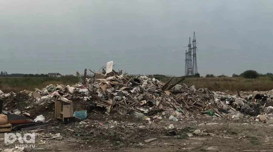  &copy;&nbsp;Фото Анастасии Паньковой, Юга.ру