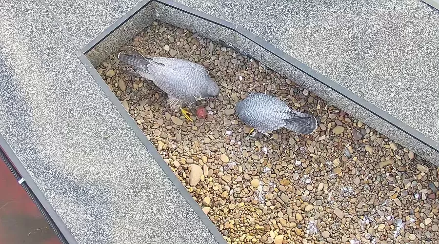  &copy;&nbsp;Фото предоставлено пресс-службой Уралсиба