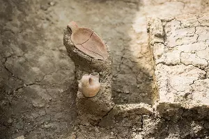 Раскопки в Фанагории &copy;&nbsp;Фото Елены Синеок, Юга.ру