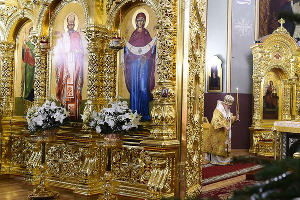  &copy;&nbsp;Фото Михаила Ступина, Юга.ру