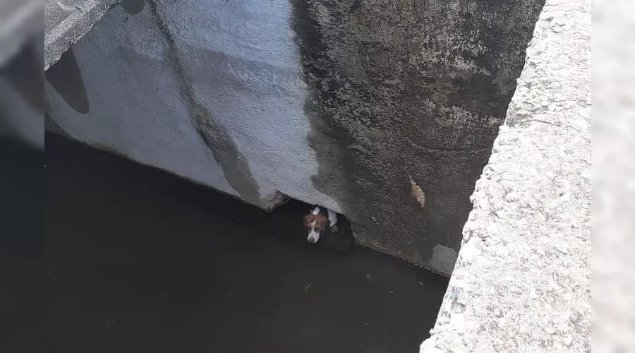  &copy;&nbsp;Фото из инстаграма главы МБУ ПАСС &laquo;Служба спасения&raquo; Новороссийска Алексея Одерова, instagram.com/alekseioderov/