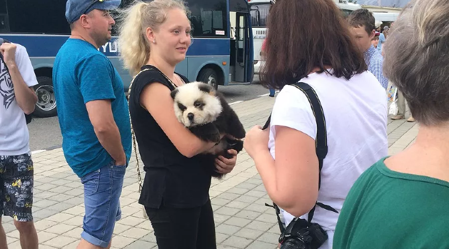  &copy;&nbsp;Фото со страницы Екатерины Фоминской &laquo;ВКонтакте&raquo;, vk.com/little___lady