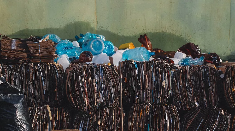 Раздельный сбор картона и пластика &copy;&nbsp;Фото Игната Кушнарева, Unsplash.com