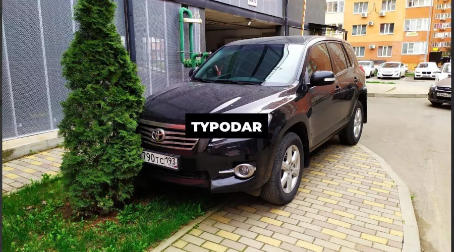  &copy;&nbsp;Скриншот из телеграм-канала &laquo;Туподар&raquo; https://t.me/typodar/49517