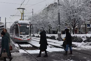 Снег в Краснодаре &copy;&nbsp;Фото Елены Синеок, Юга.ру