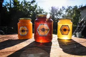 Мед &copy;&nbsp;Фото Елены Синеок, Юга.ру