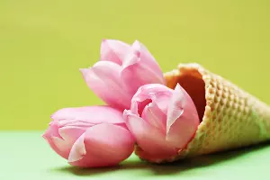  &copy;&nbsp;Изображение пользователя S. Hermann & F. Richter с сайта Pixabay.com