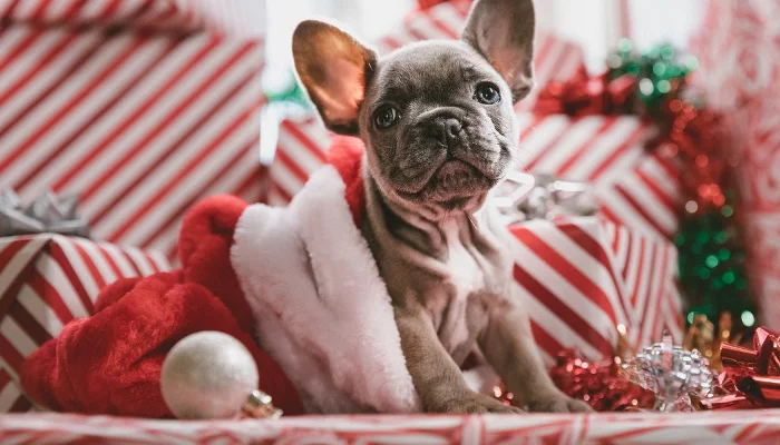  &copy;&nbsp;Фото Jakob Owens, unsplash.com