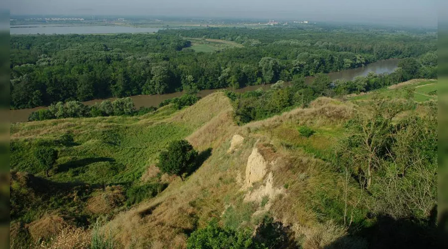  &copy;&nbsp;Фото пресс-службы администрации Краснодарского края