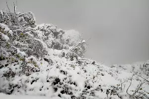  &copy;&nbsp;Фото пресс-службы Курорта Красная Поляна