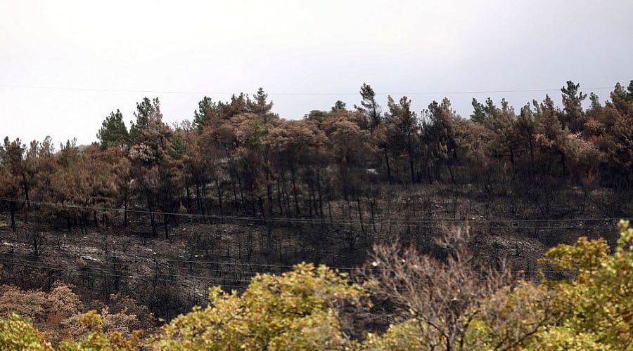  © Фото пресс-службы администрации Краснодарского края