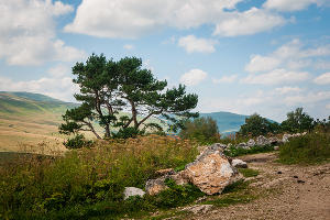 Лагонакское нагорье и Фишт-Оштенский горный массив © Фото Елены Синеок, Юга.ру