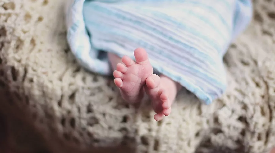  &copy;&nbsp;Фото с сайта pixabay.com