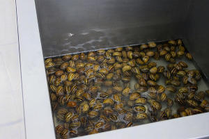  &copy;&nbsp;Фото Марины Солошко, Юга.ру