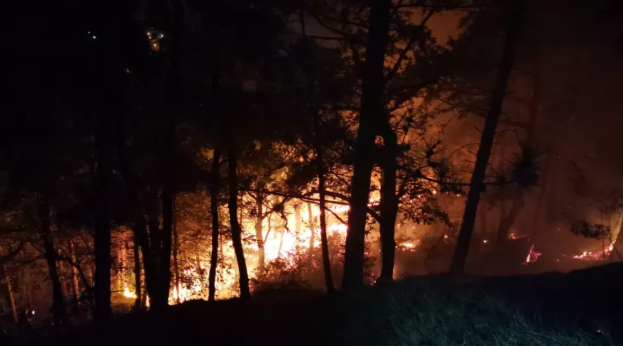  &copy;&nbsp;Фото пресс-службы Сочинского национального парка