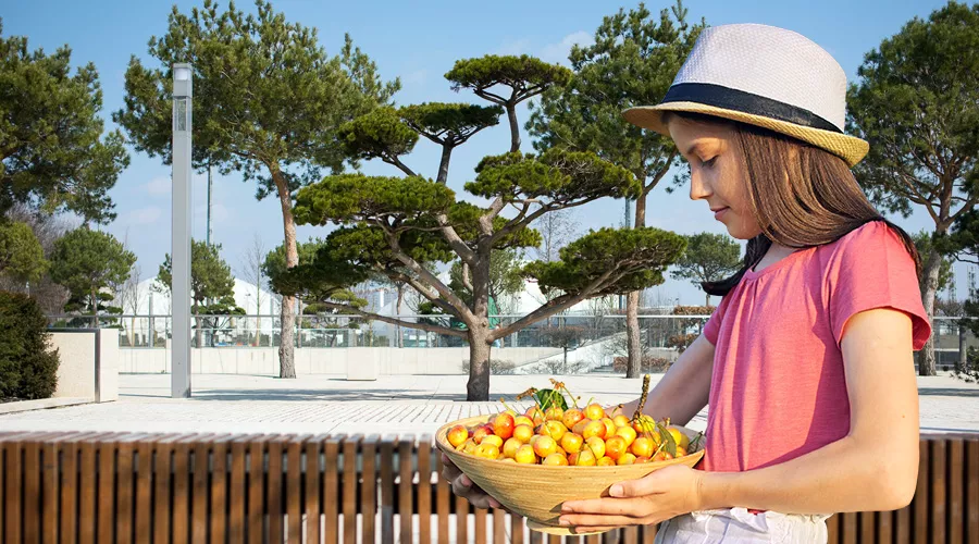  &copy;&nbsp;Коллаж Дмитрия Пославского, Юга.ру