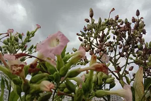  &copy;&nbsp;Фото Яры Гуляевой, Юга.ру